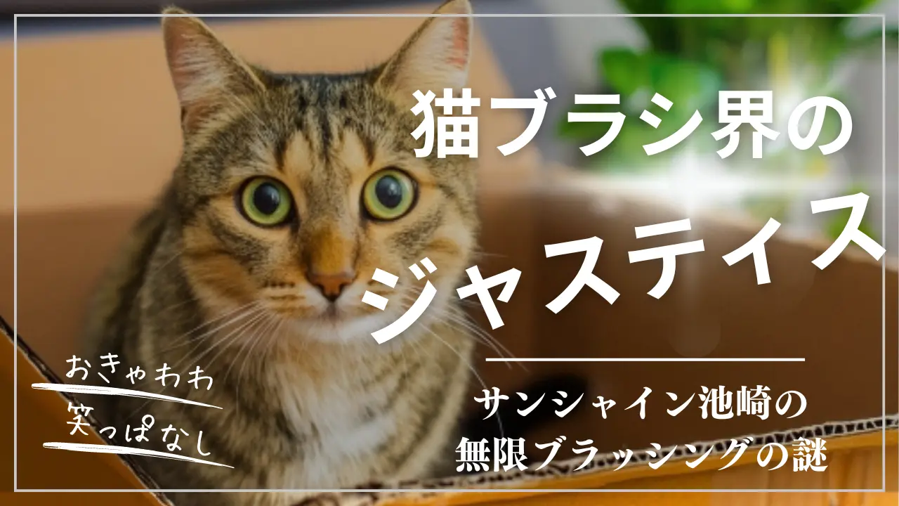 サンシャイン池崎の猫ブラシ