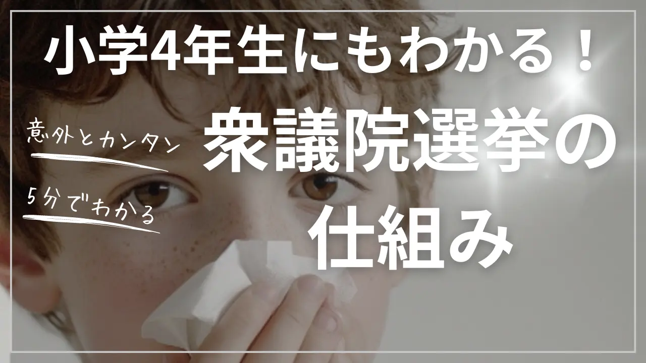 衆議院選挙の仕組み子供向け