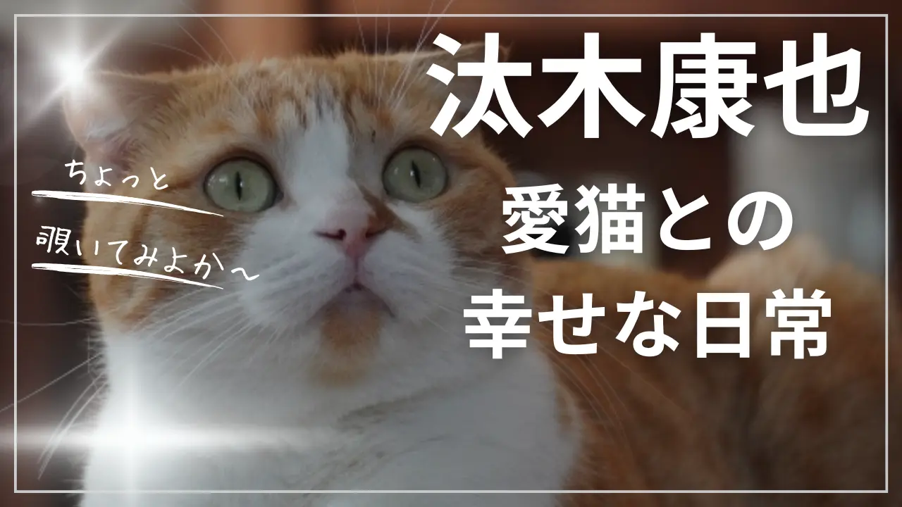 汰木康也の猫