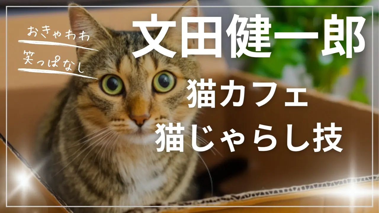 文田健一郎・猫カフェと猫じゃらし技と猫柄靴下