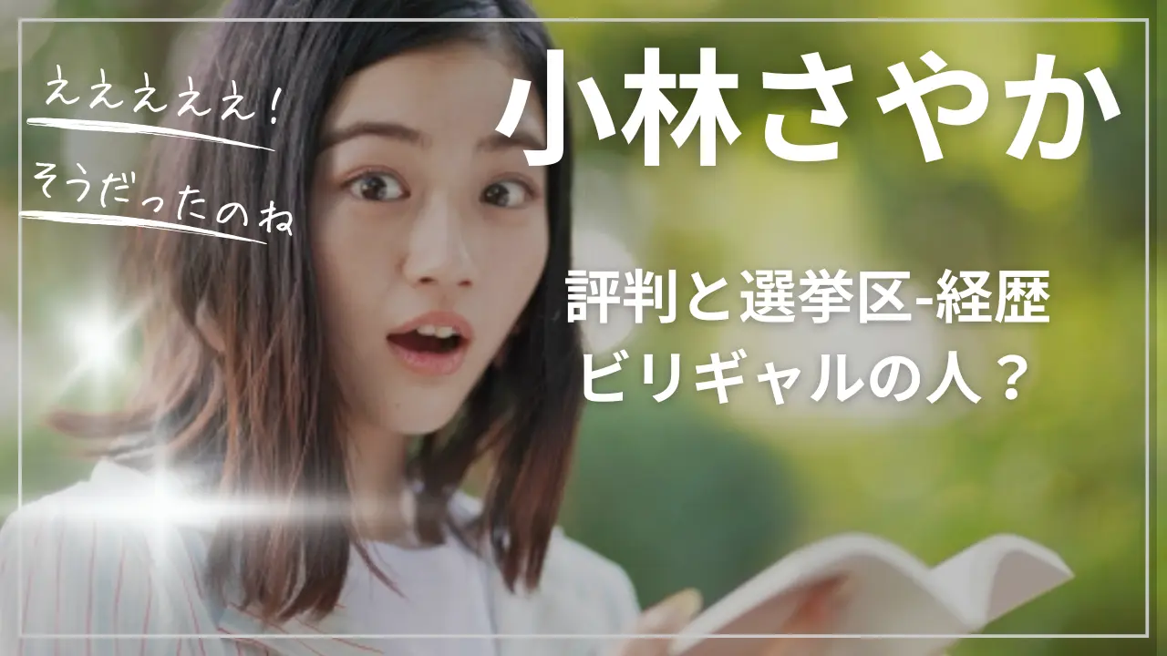 小林さやかの評判と選挙区-wiki経歴