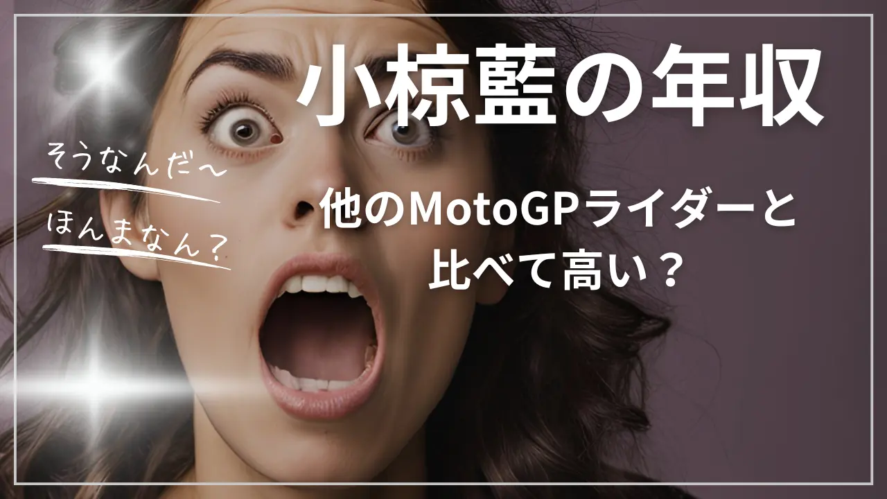 小椋藍の年収
