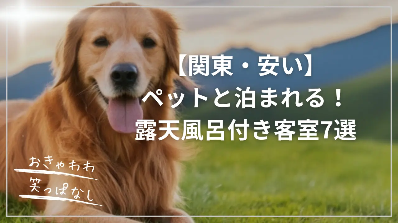 【関東・安い】ペットと泊まれる！露天風呂付き客室