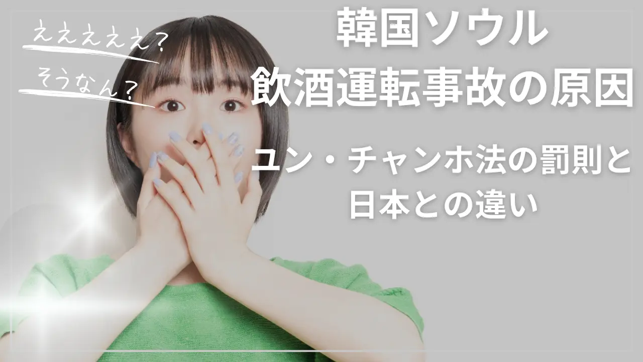 韓国ソウル飲酒運転事故の原因：ユン・チャンホ法