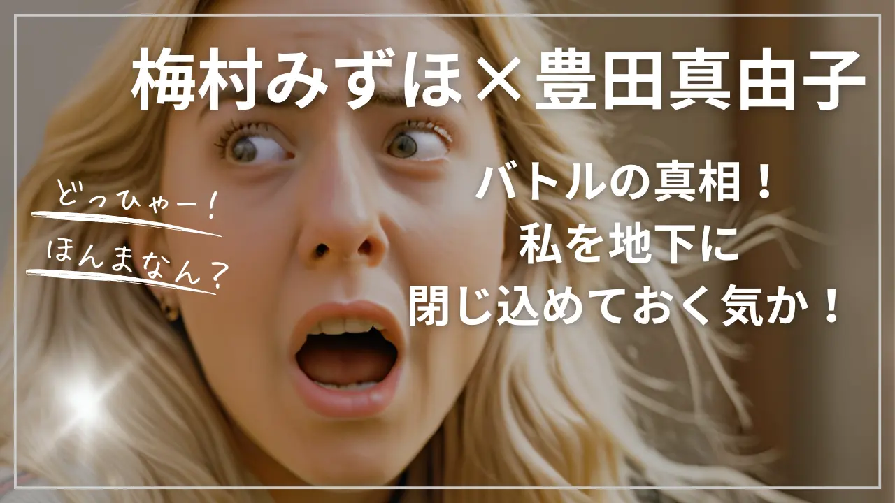 梅村みずほ×豊田真由子バトルの真相