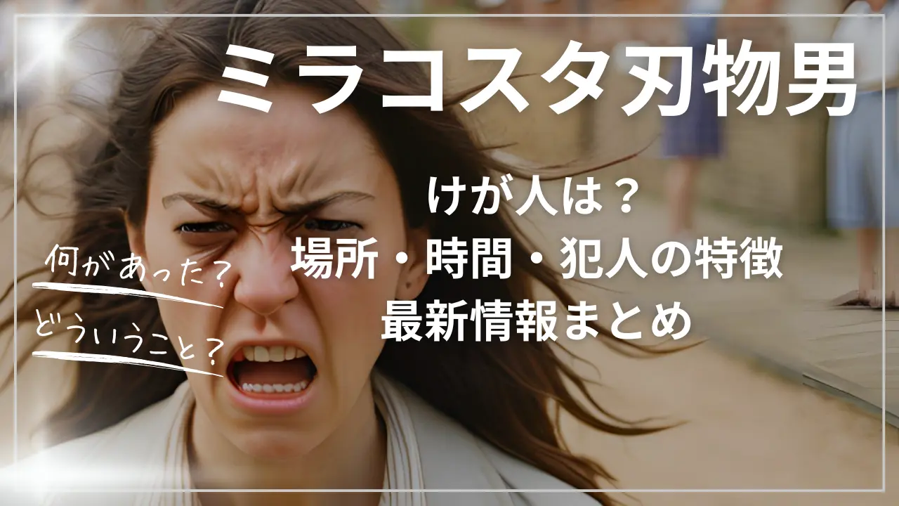 ミラコスタ包丁刃物男！けが人は？場所・時間・犯人の特徴