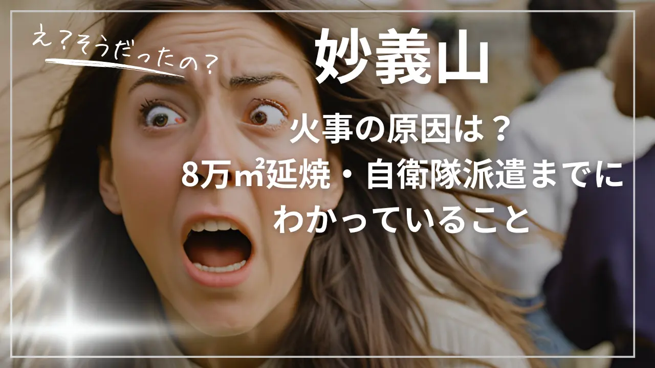 妙義山火事の原因は？8万㎡延焼・自衛隊派遣まで
