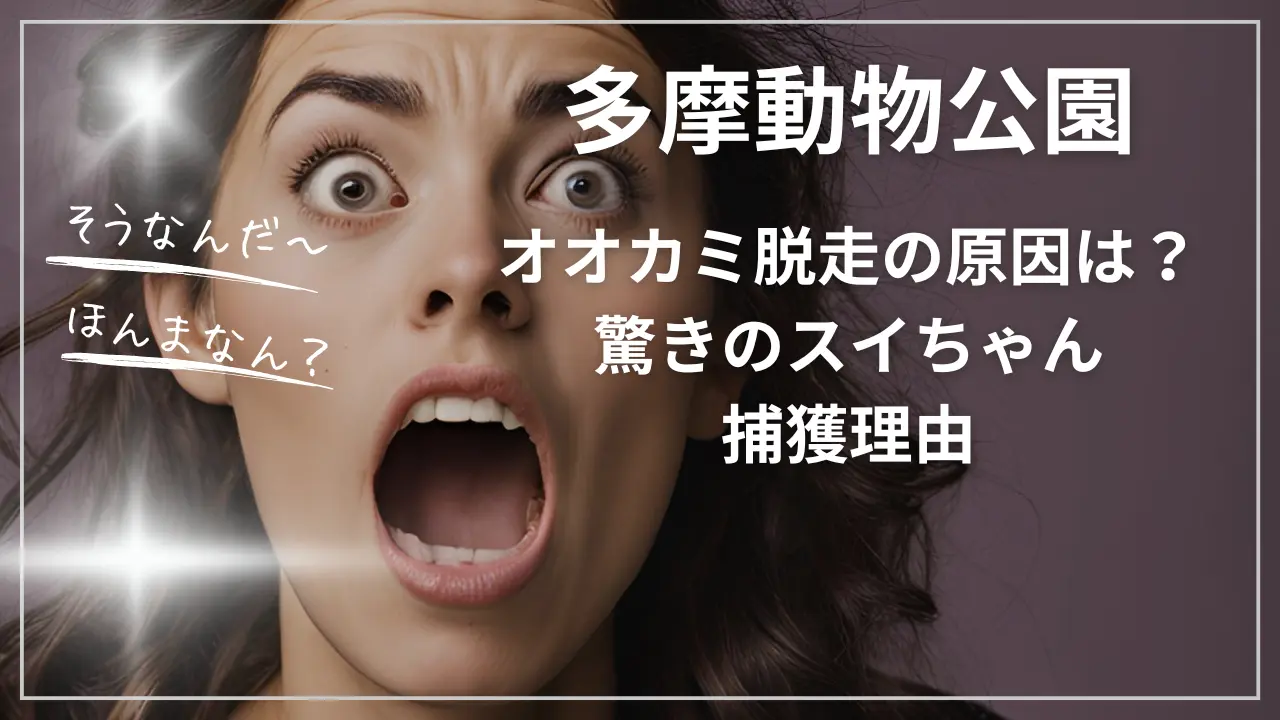 多摩動物公園オオカミ脱走の原因は？驚きのスイちゃん捕獲理由