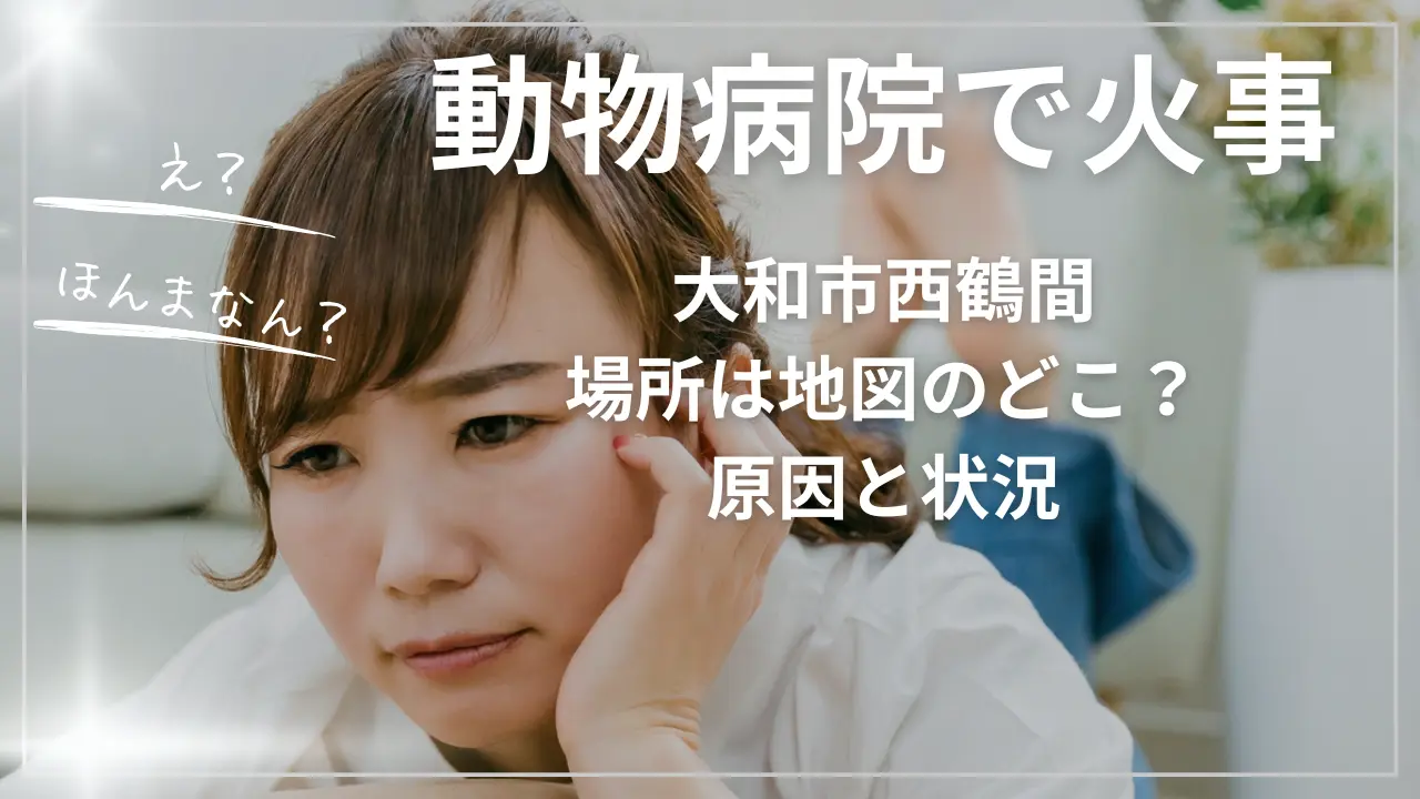大和市西鶴間・動物病院で火事｜場所は地図のどこ？原因と状況