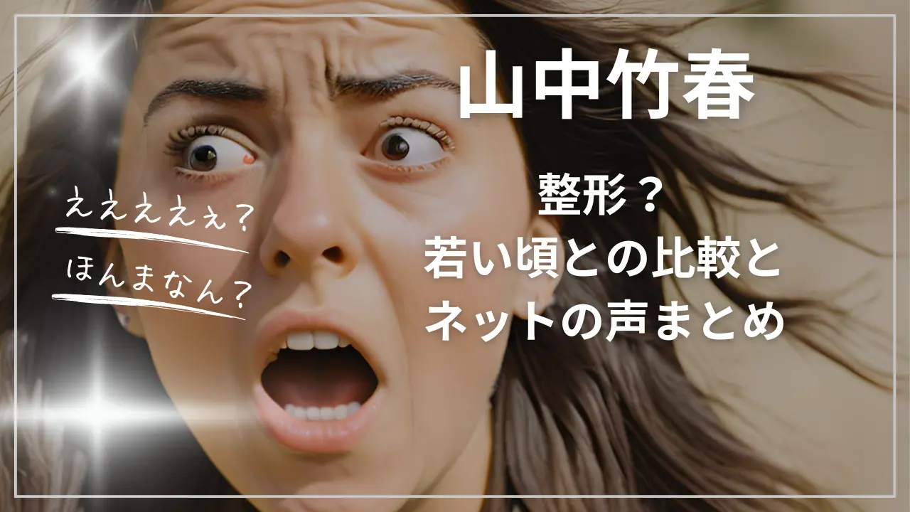 山中竹春は整形？若い頃との比較