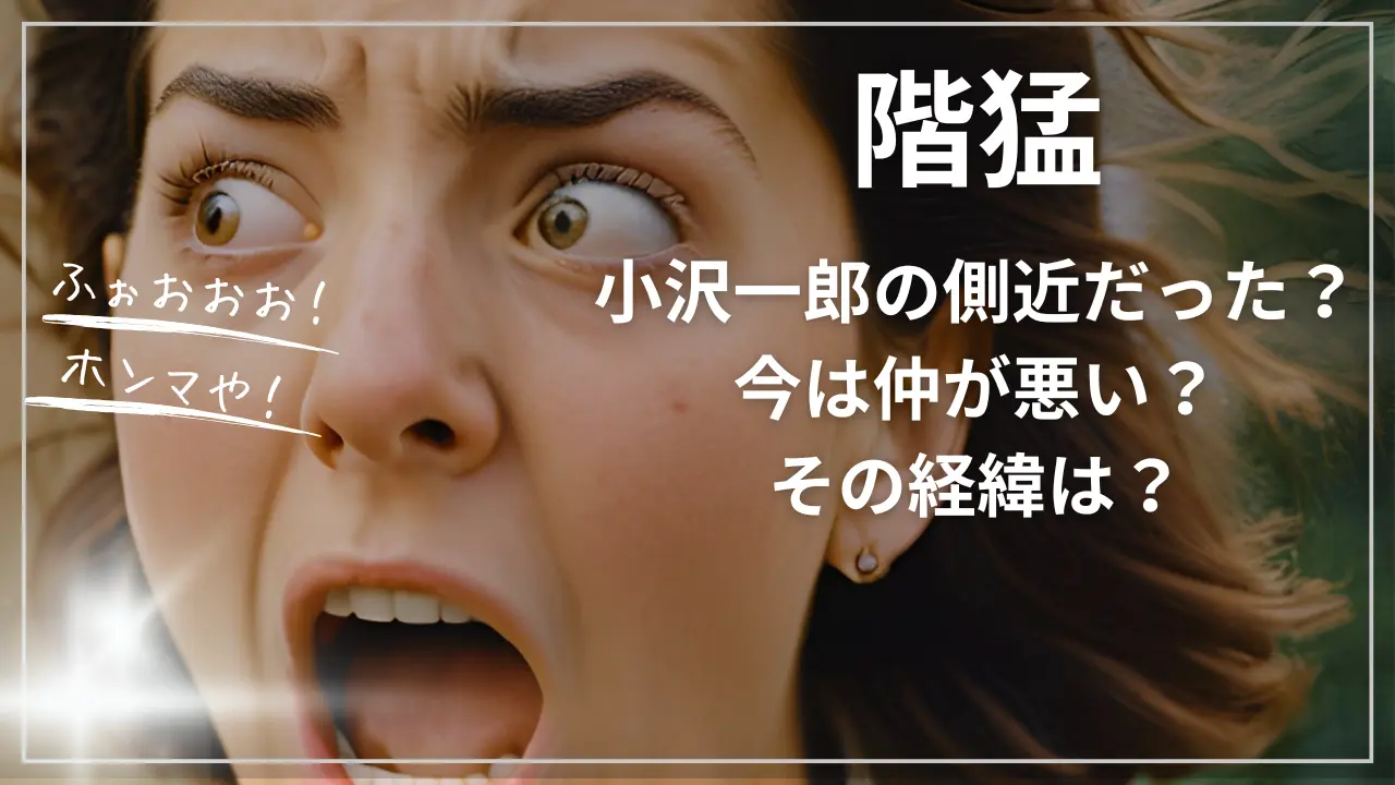 階猛は小沢一郎の側近だった？今は仲が悪い？その経緯は？