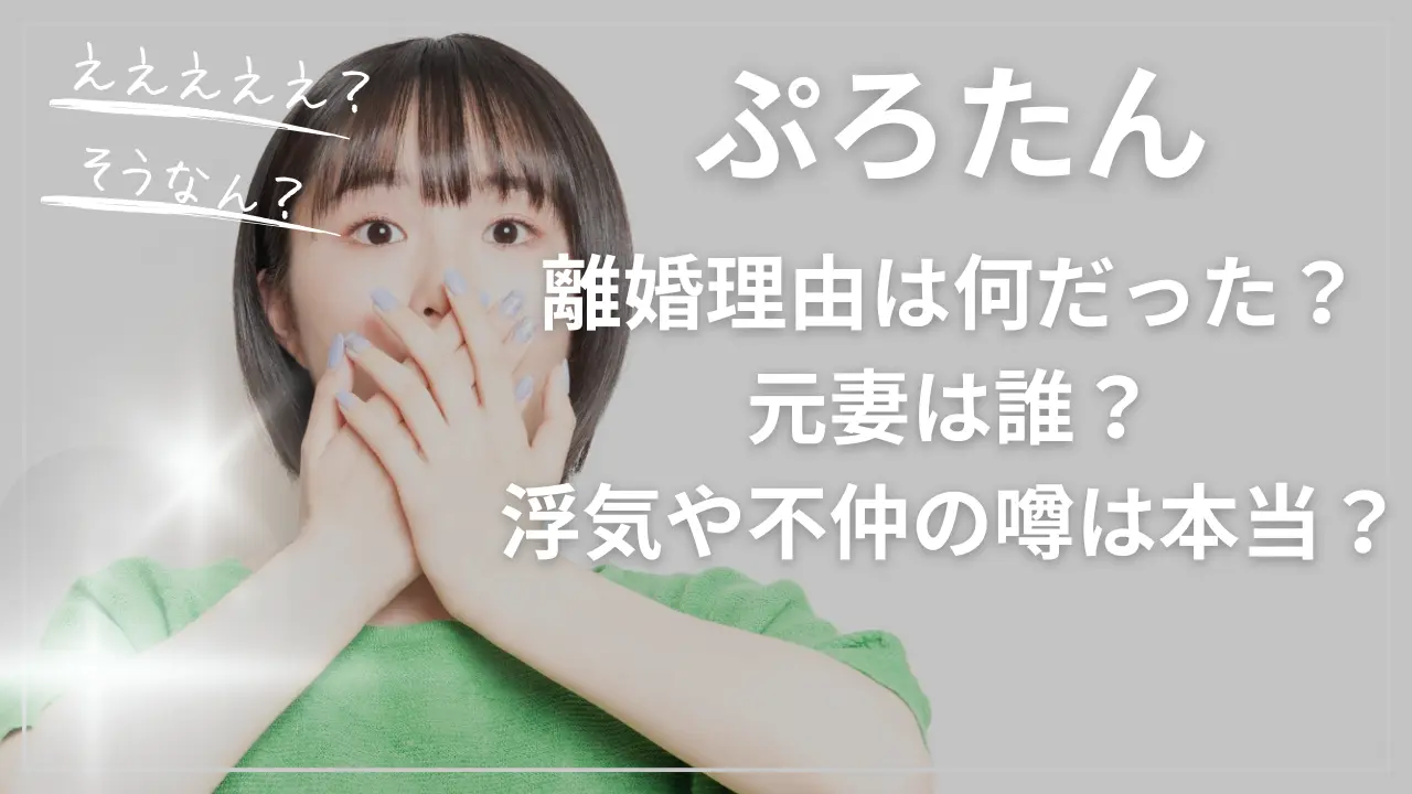 ぷろたんの離婚理由は何だった？