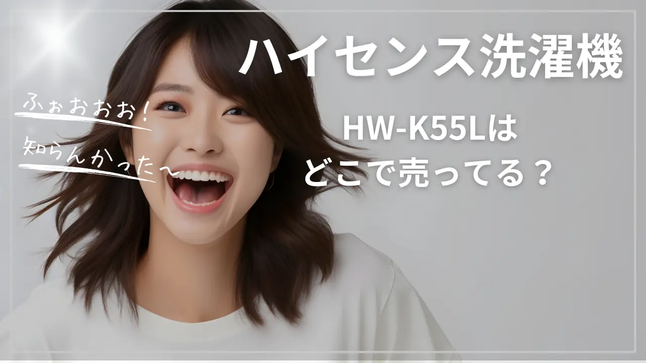 ハイセンスHW-K55Lはどこで売ってる？