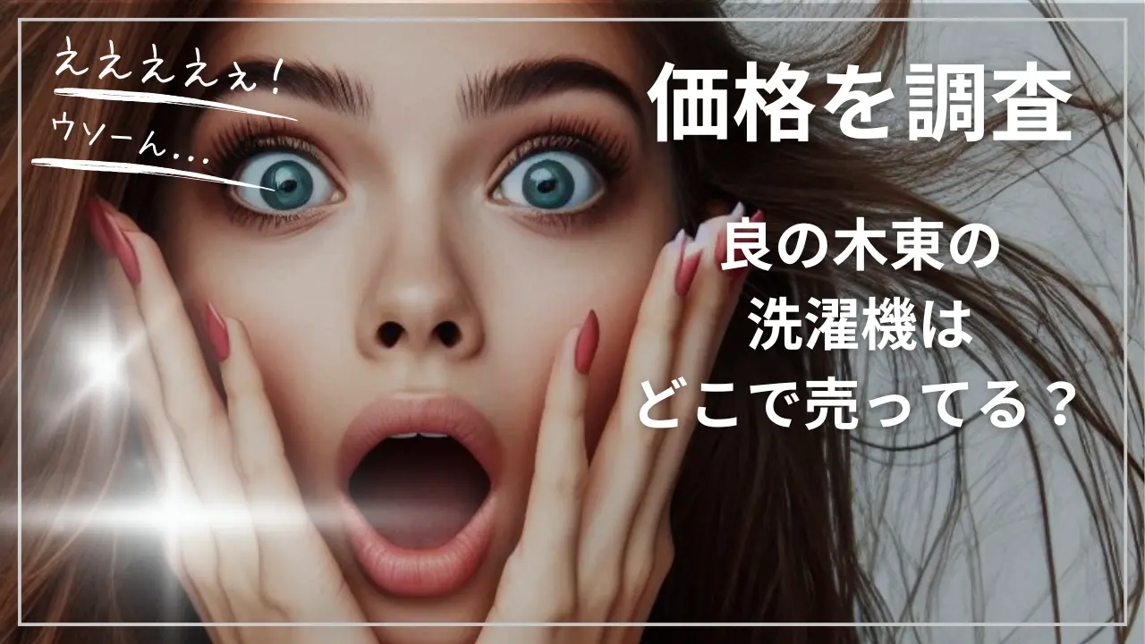 良の木東の洗濯機はどこで売ってる？