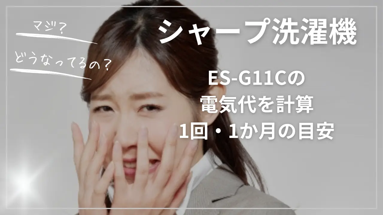 ES-G11Cの電気代