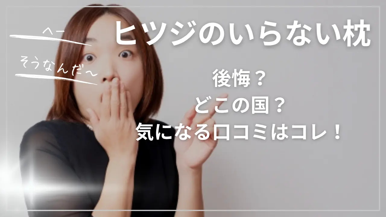 ヒツジのいらない枕で後悔？どこの国？気になる口コミ