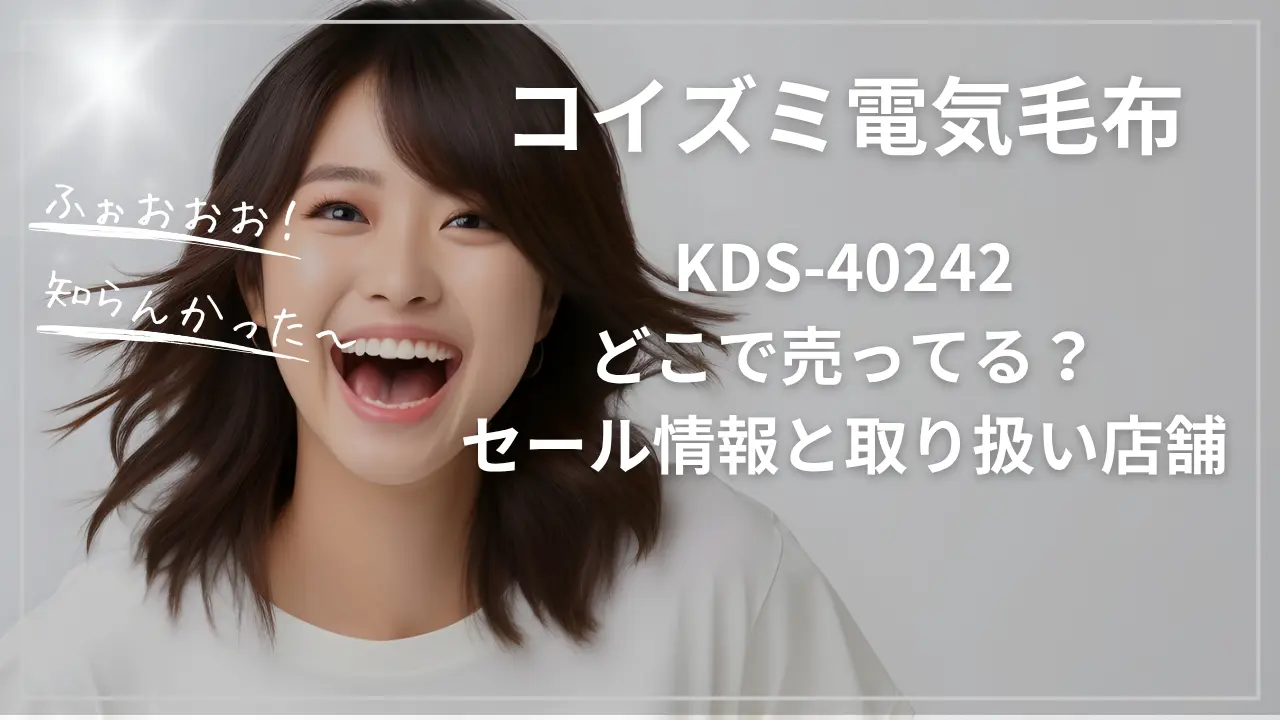 コイズミ電気毛布KDS-40242どこで売ってる？